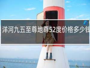 洋河九五至尊地尊52度价格多少钱一瓶