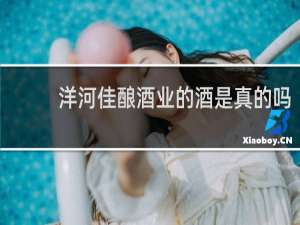 洋河佳酿酒业的酒是真的吗