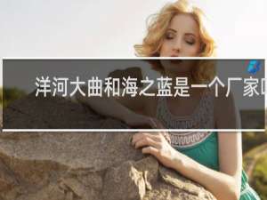 洋河大曲和海之蓝是一个厂家吗