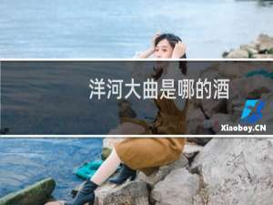 洋河大曲是哪的酒