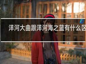 洋河大曲跟洋河海之蓝有什么区别