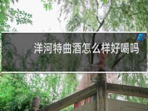 洋河特曲酒怎么样好喝吗
