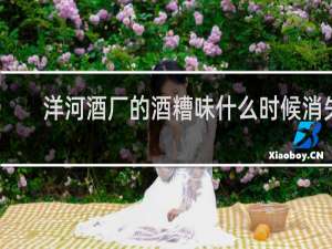 洋河酒厂的酒糟味什么时候消失