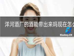 洋河酒厂的酒能带出来吗现在怎么样