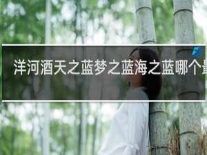 洋河酒天之蓝梦之蓝海之蓝哪个最贵