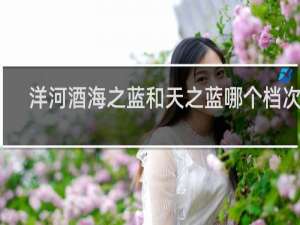洋河酒海之蓝和天之蓝哪个档次高