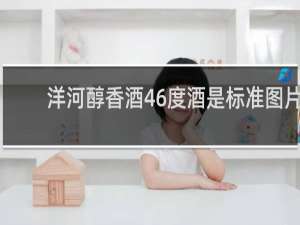 洋河醇香酒46度酒是标准图片