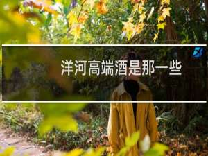 洋河高端酒是那一些