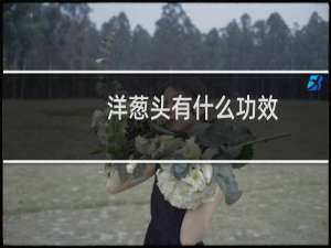 洋葱头有什么功效