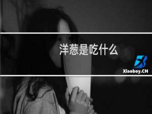 洋葱是吃什么
