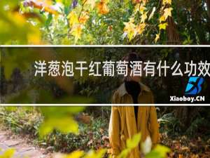 洋葱泡干红葡萄酒有什么功效
