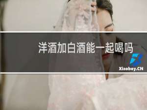 洋酒加白酒能一起喝吗