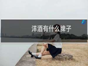 洋酒有什么牌子
