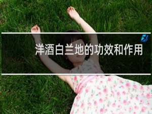 洋酒白兰地的功效和作用