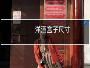 洋酒盒子尺寸
