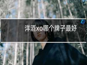 洋酒xo哪个牌子最好