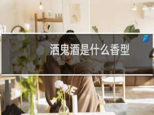 洒鬼酒是什么香型