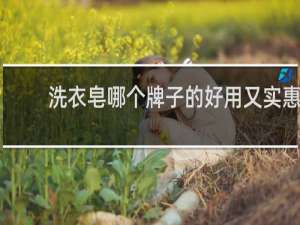 洗衣皂哪个牌子的好用又实惠
