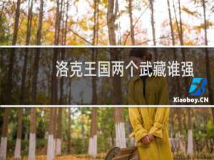 洛克王国两个武藏谁强