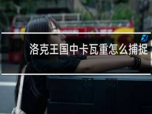 洛克王国中卡瓦重怎么捕捉