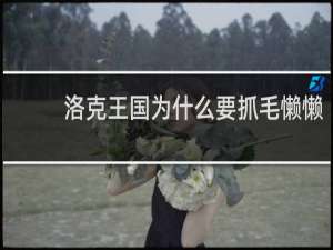 洛克王国为什么要抓毛懒懒