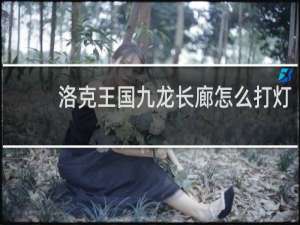 洛克王国九龙长廊怎么打灯