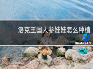 洛克王国人参娃娃怎么种植