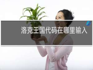 洛克王国代码在哪里输入