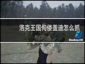 洛克王国佝偻盖迪怎么抓