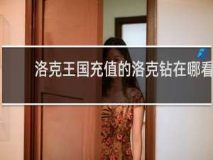 洛克王国充值的洛克钻在哪看