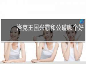 洛克王国兴霸和公瑾哪个好