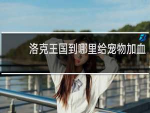 洛克王国到哪里给宠物加血