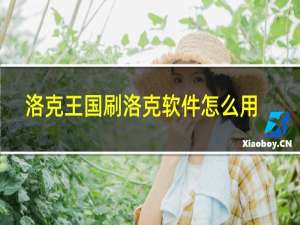 洛克王国刷洛克软件怎么用