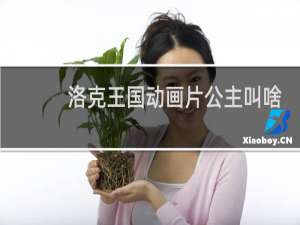 洛克王国动画片公主叫啥