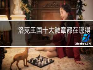 洛克王国十大徽章都在哪得