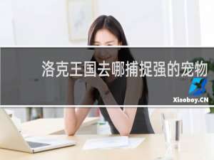 洛克王国去哪捕捉强的宠物
