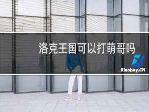 洛克王国可以打萌哥吗