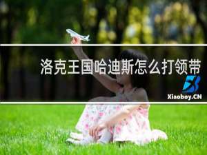 洛克王国哈迪斯怎么打领带
