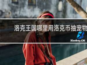 洛克王国哪里用洛克币抽宠物