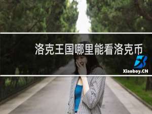 洛克王国哪里能看洛克币