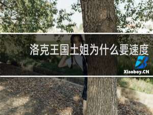 洛克王国土姐为什么要速度