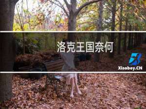 洛克王国奈何