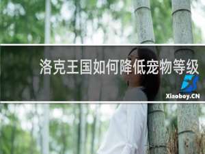 洛克王国如何降低宠物等级