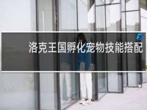 洛克王国孵化宠物技能搭配