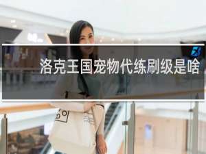 洛克王国宠物代练刷级是啥