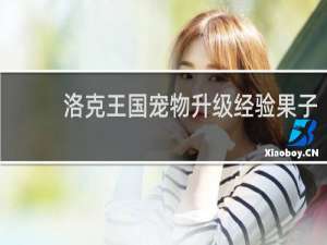 洛克王国宠物升级经验果子
