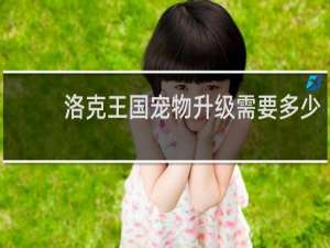 洛克王国宠物升级需要多少