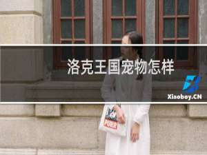 洛克王国宠物怎样