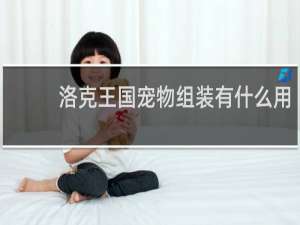 洛克王国宠物组装有什么用