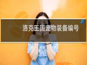 洛克王国宠物装备编号